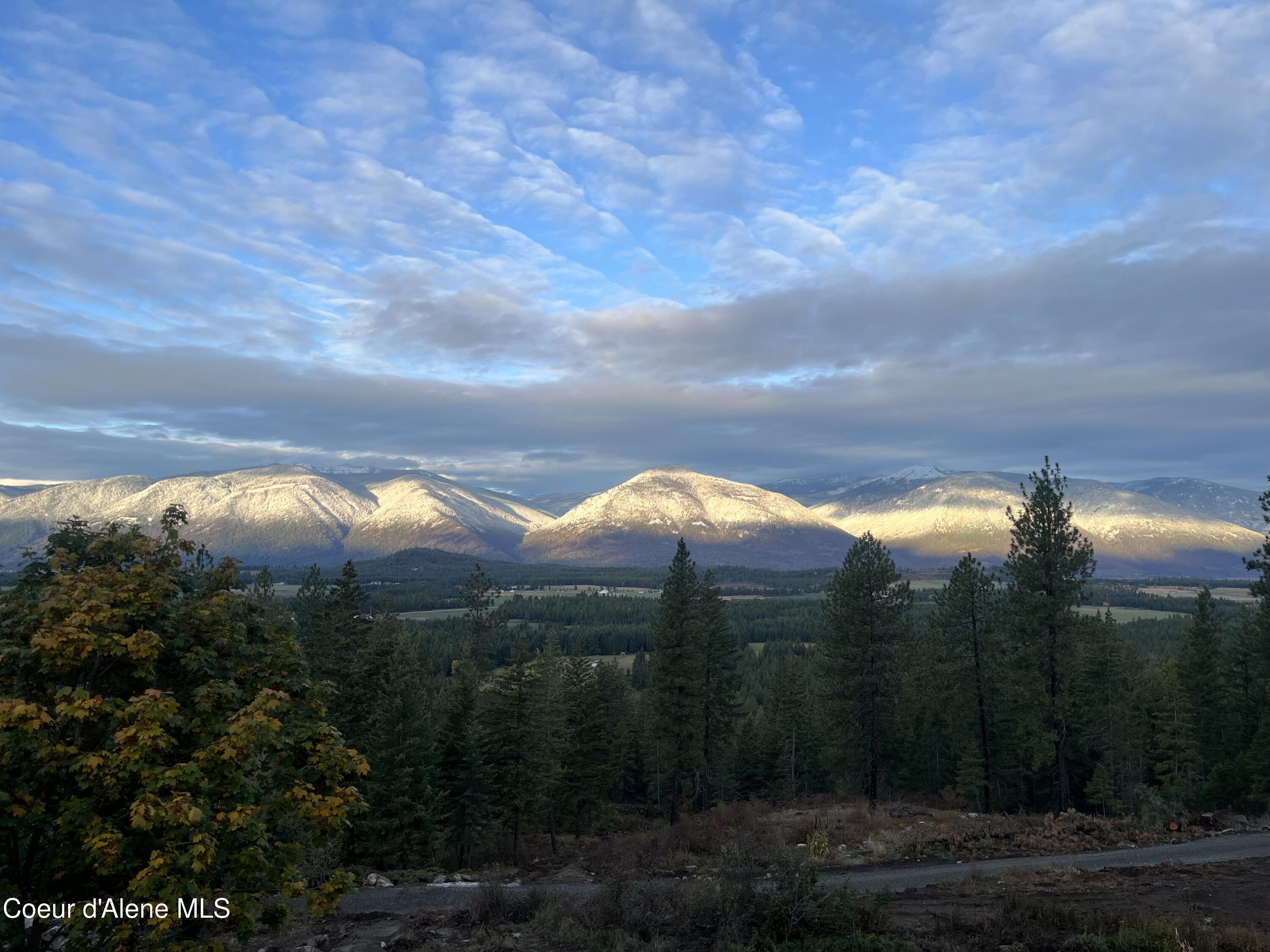 Image 2: Spring Morning