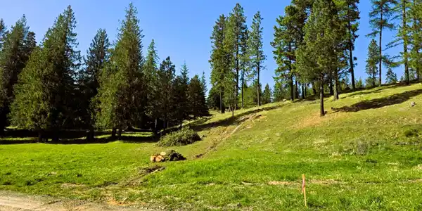 Image 3: Proposed Easement Rd