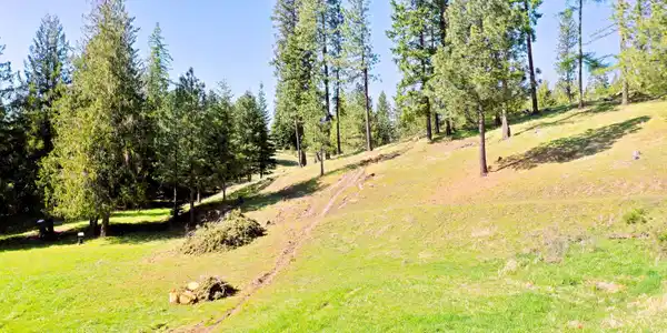 Image 4: Proposed Easement Rd