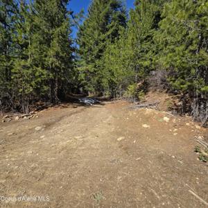 0 Adams Creek RD