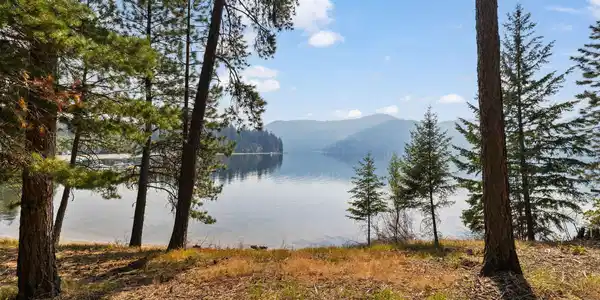Image 2: Incredible Waterfront Property!