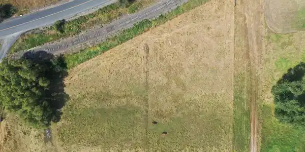 Image 3: DJI_0003