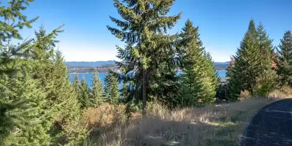 Image 3: Potential Home Site Approach