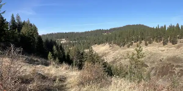 Image 2: 3