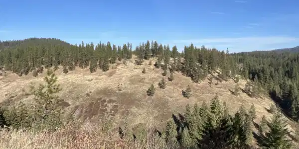 Image 3: 4