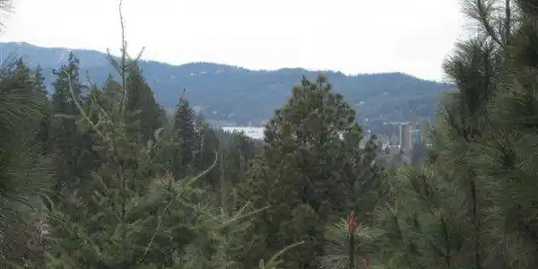 Image 2: peeapoo riverview