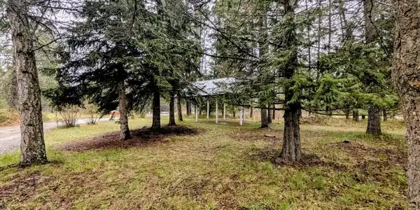 Image 2: Lots of room for critters