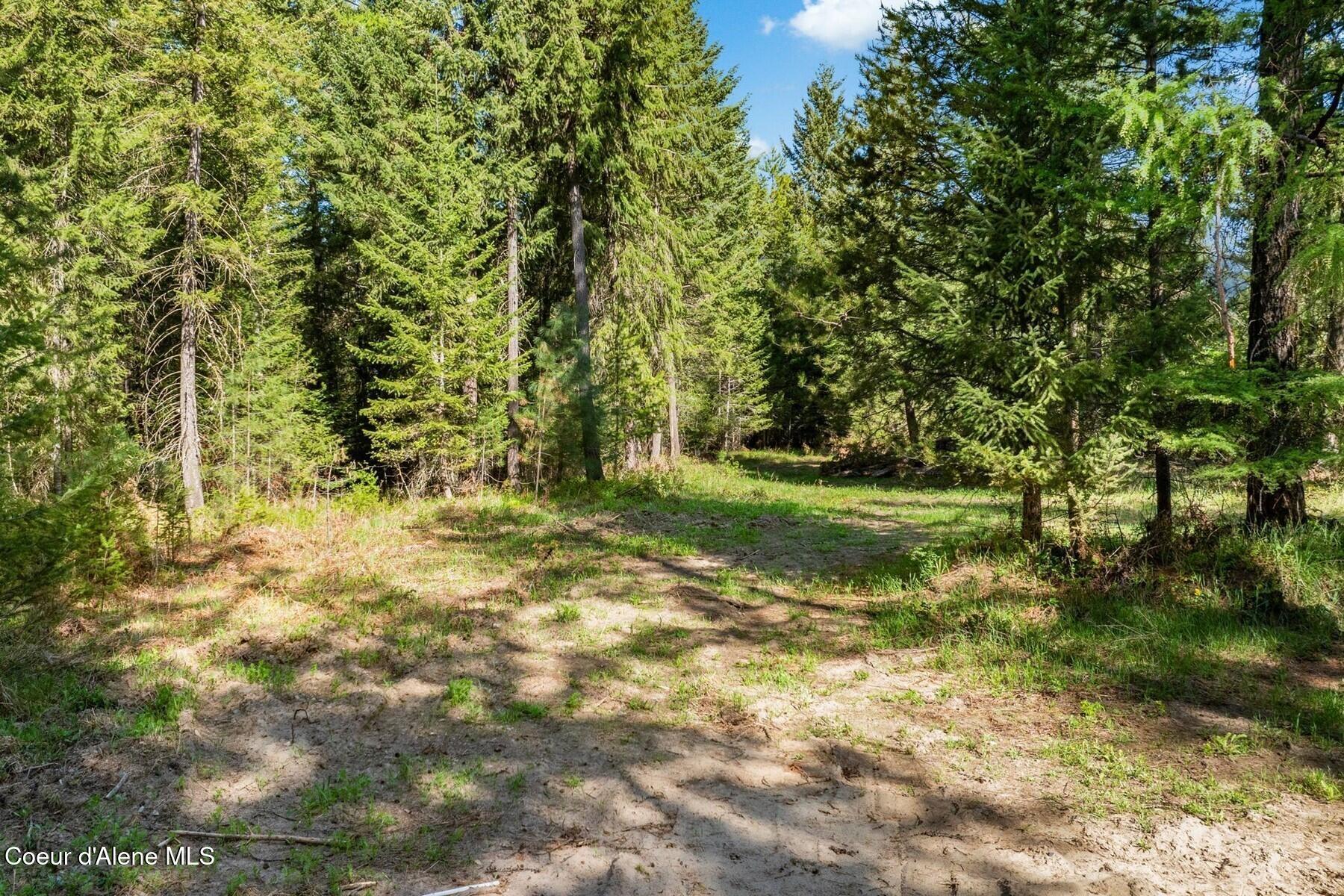 Image 4: Mature Trees for Privacy