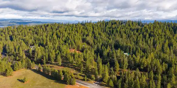 Image 2: DJI_20260325090712_0002_D