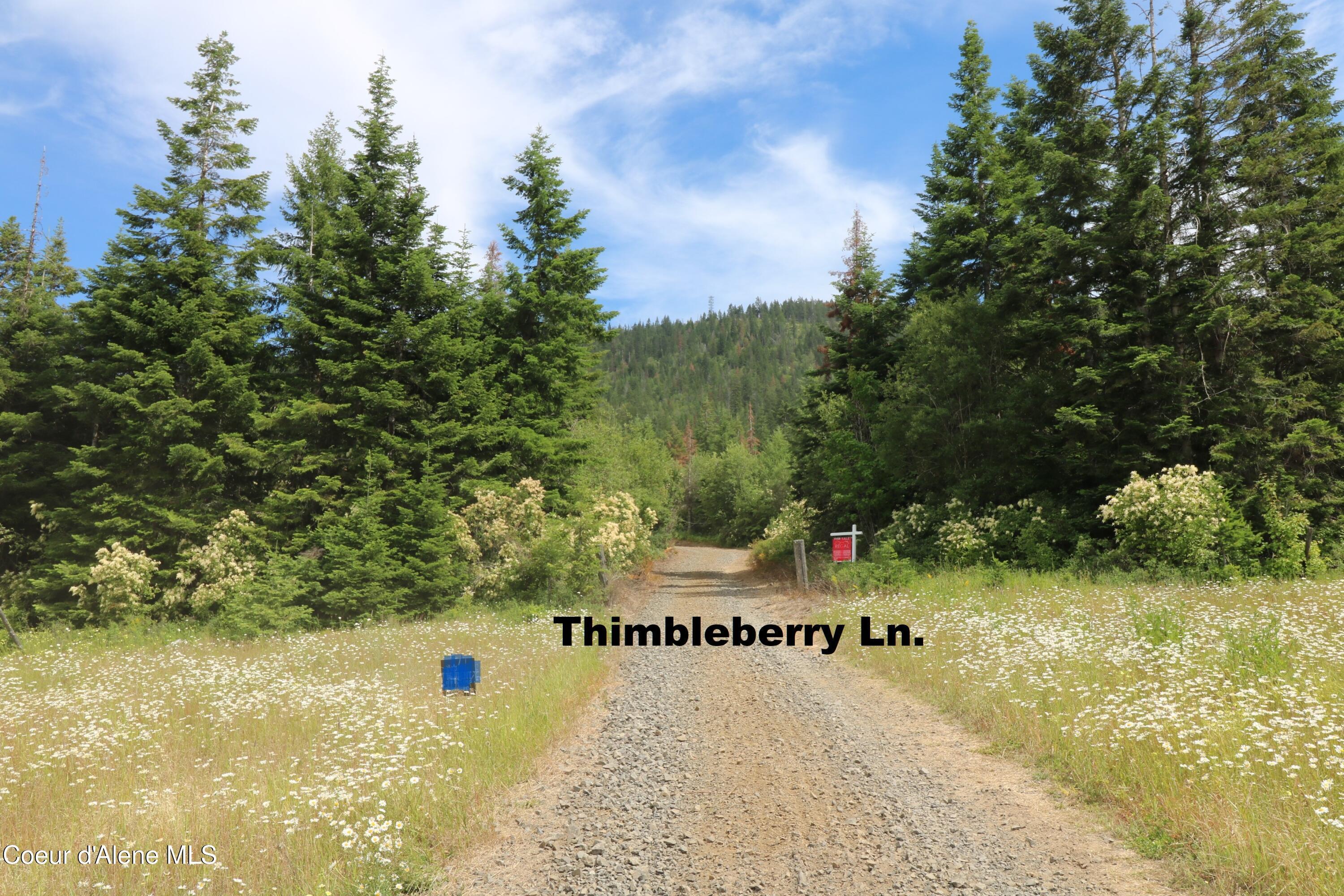 Image 3: Thimbleberry Ln