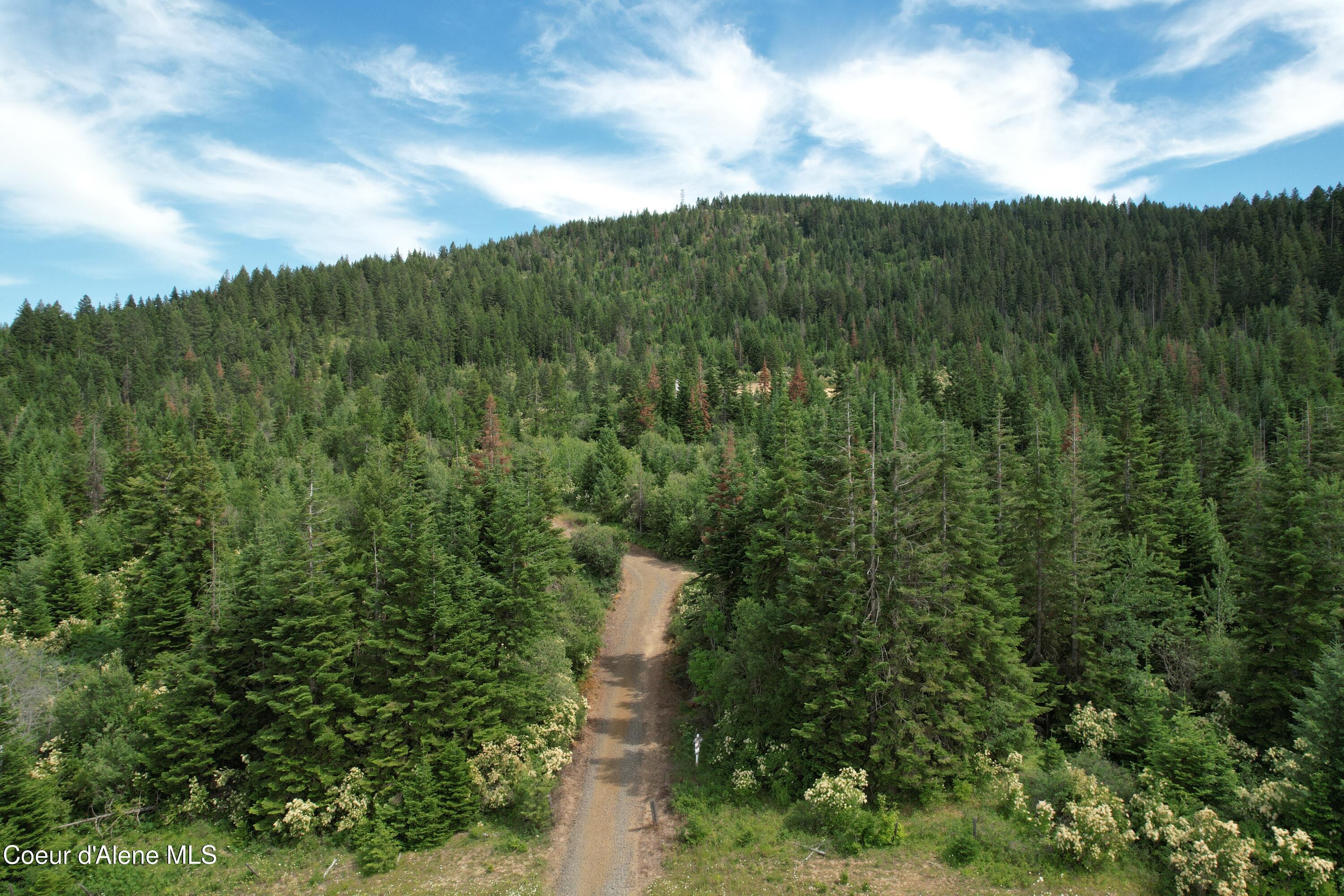 Image 4: Access road