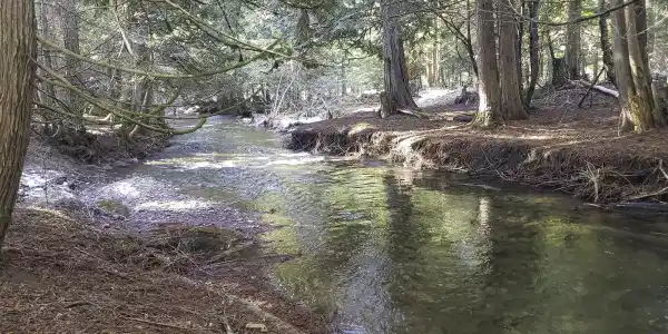 NNA E Spring Creek Road