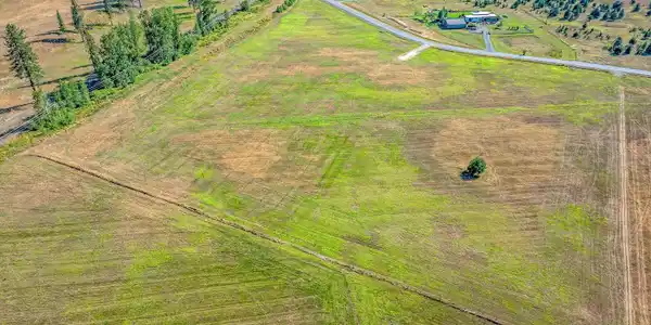 Image 2: Level Usable Acreage