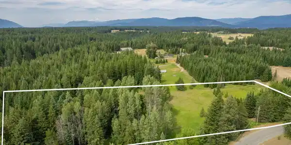 Image 4: 03 Part Wooded and Part Meadow