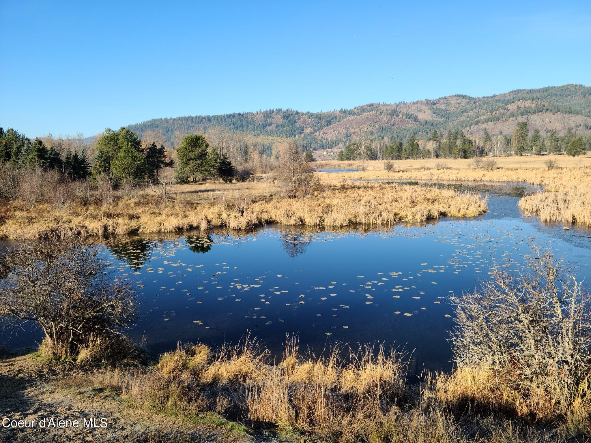 Image 2: Pond-
