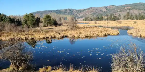 Image 2: Pond-