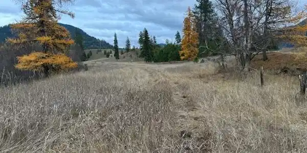 Image 3: Drive in 8 ac