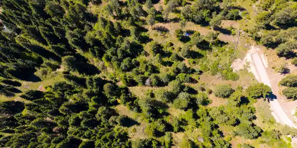 Image 4: DJI_20260501120547_0005_D