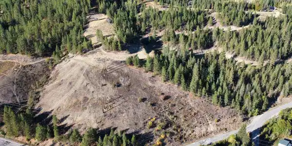 Image 4: Parcel A Pinehurst 2