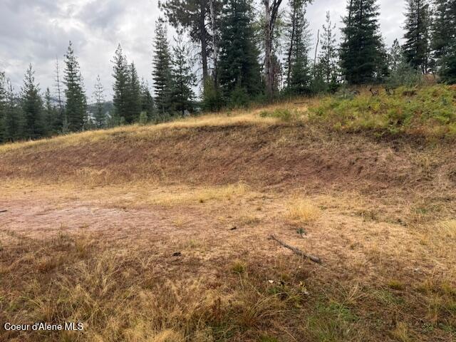Image 4: Photo
