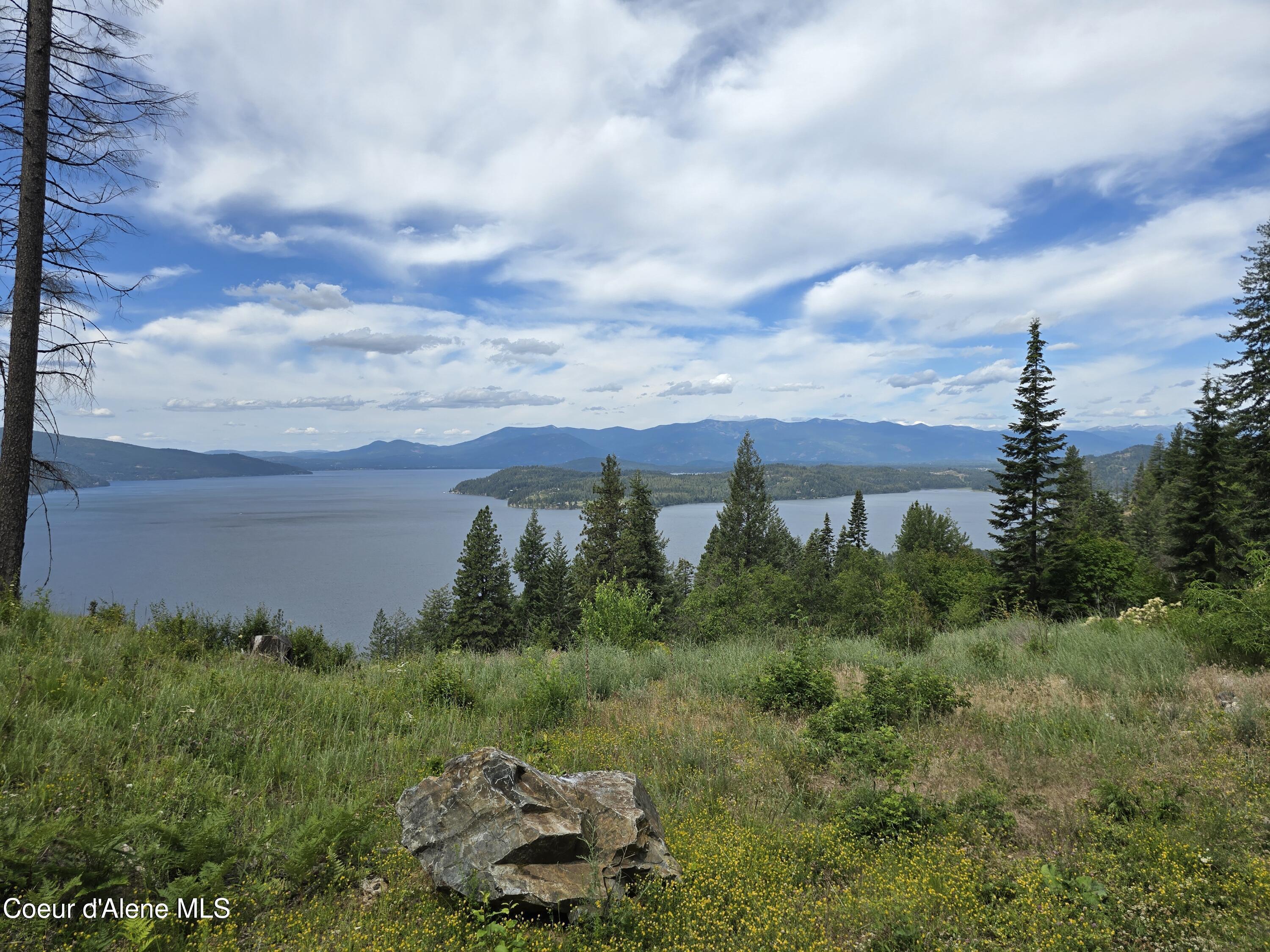 Image 4: 253720-38