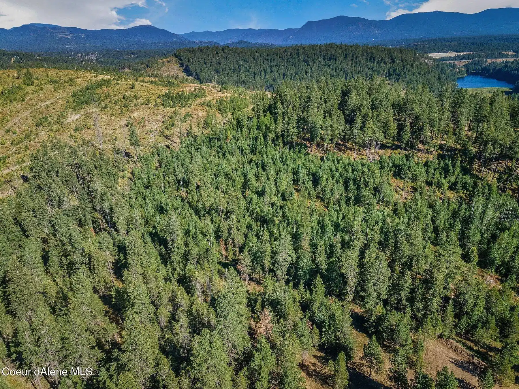 Image 1: Wooded
