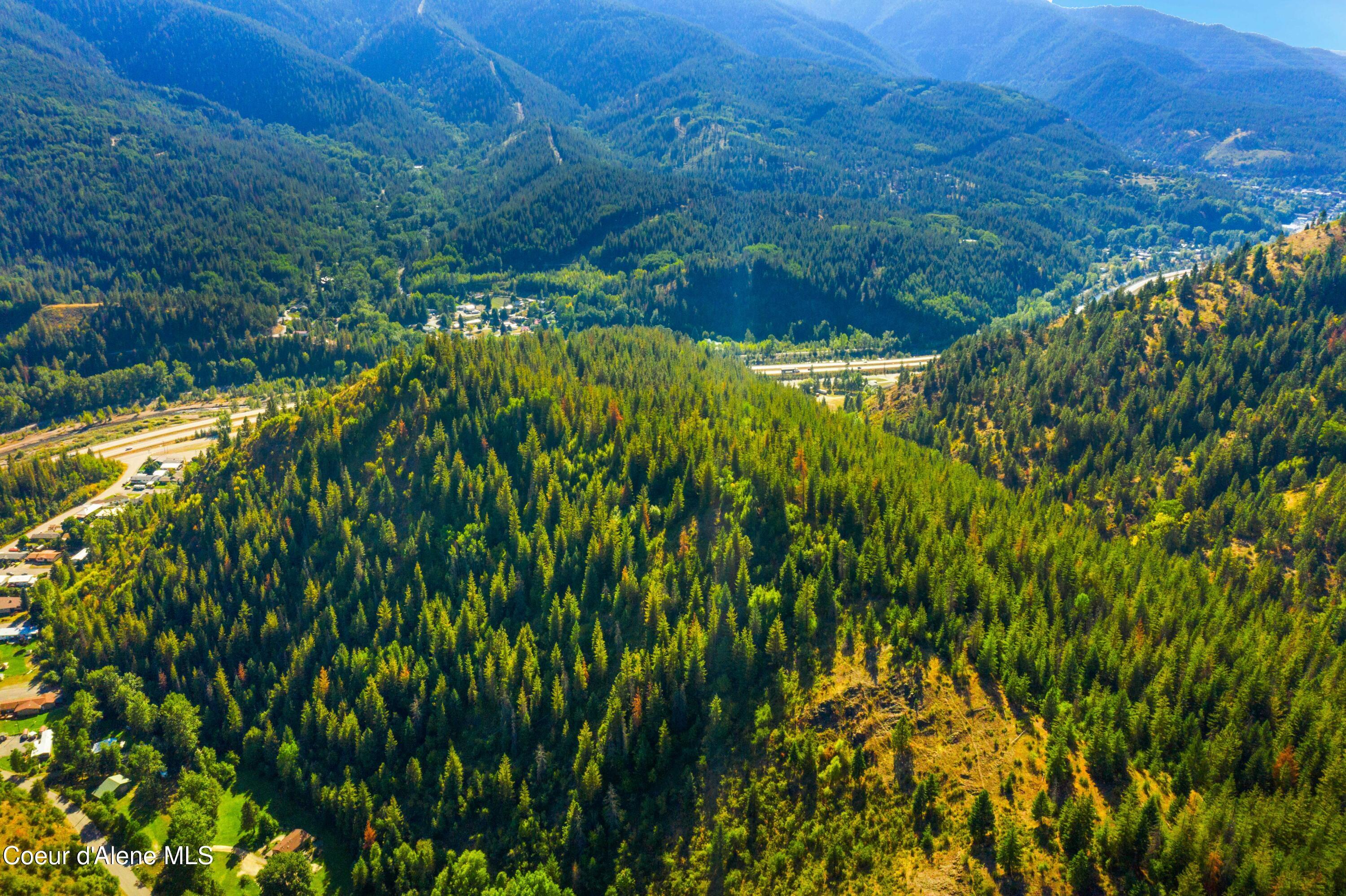 Image 1: 122 Acres in Silver Valley