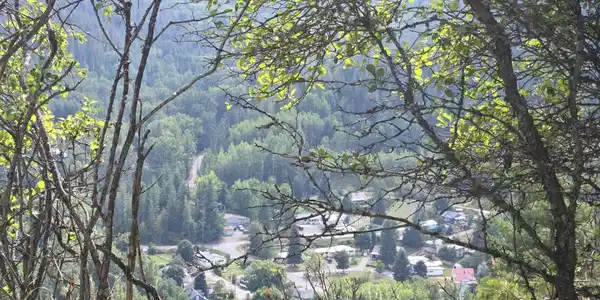 Image 4: 13-4435