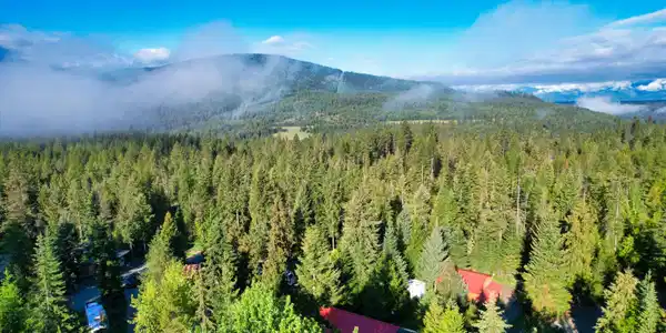 Image 2: DJI_0020