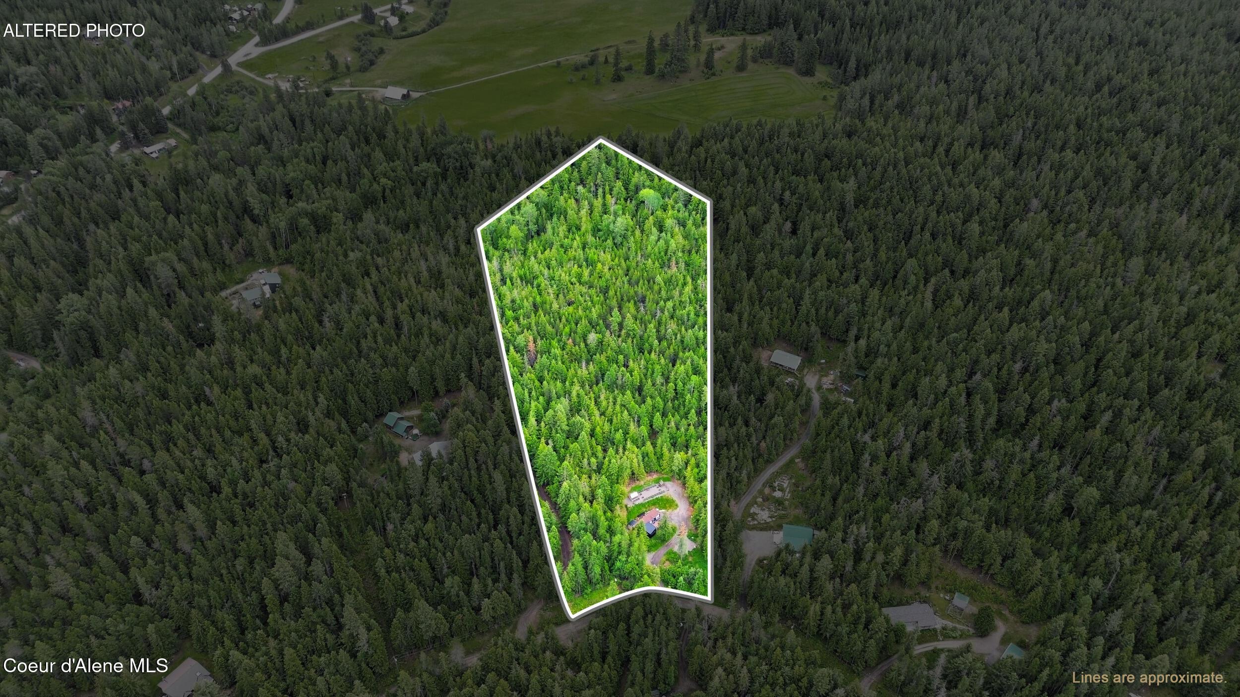 Image 3: Altered Photo