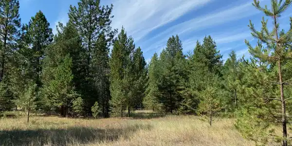 NNA Easy Livin Acres