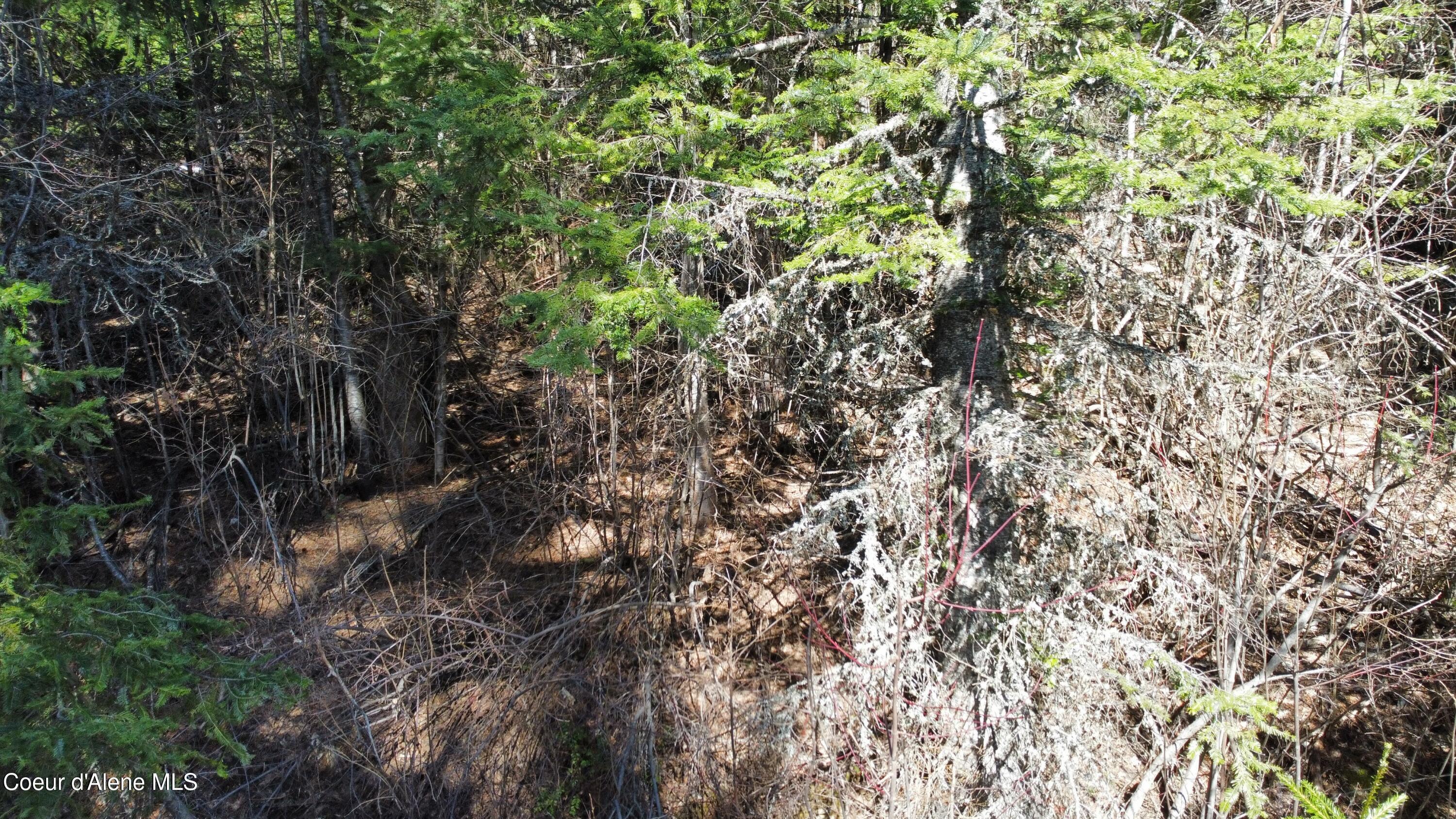 Image 4: dji_fly_20260409_100920_982_177575456791