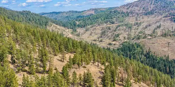 Image 4: 41-DJI_20260813134751_0014_D