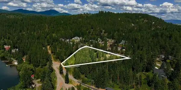 Image 4: WL 4