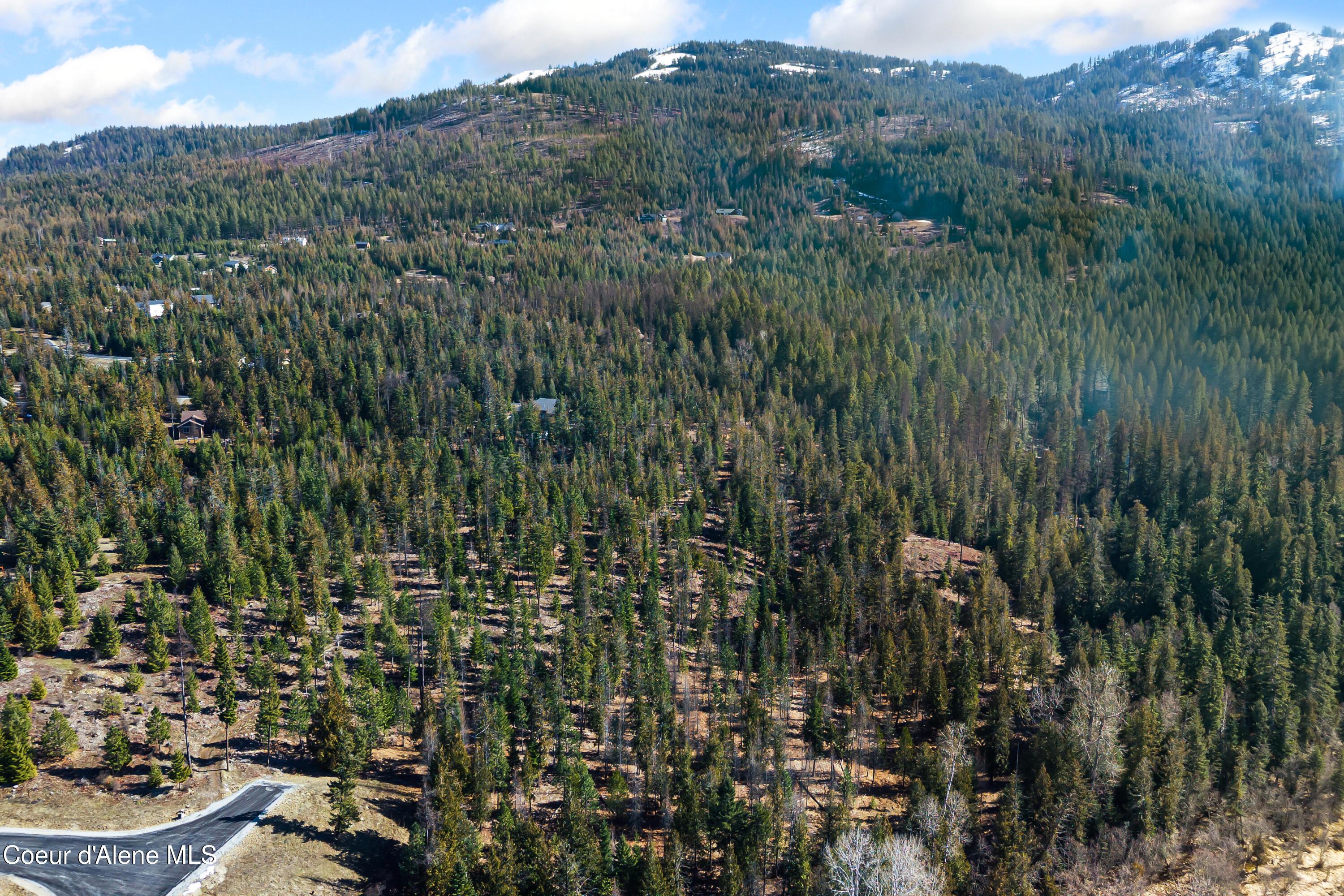 Image 3: DJI_20260303042154_0595_D