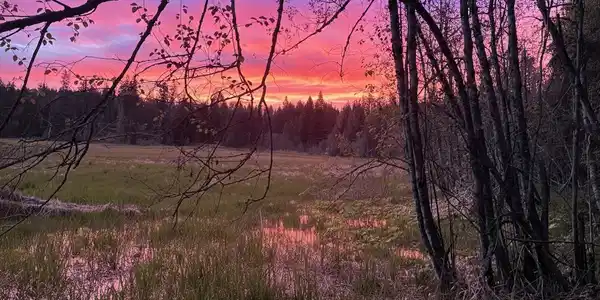 NNA High Meadow Drive