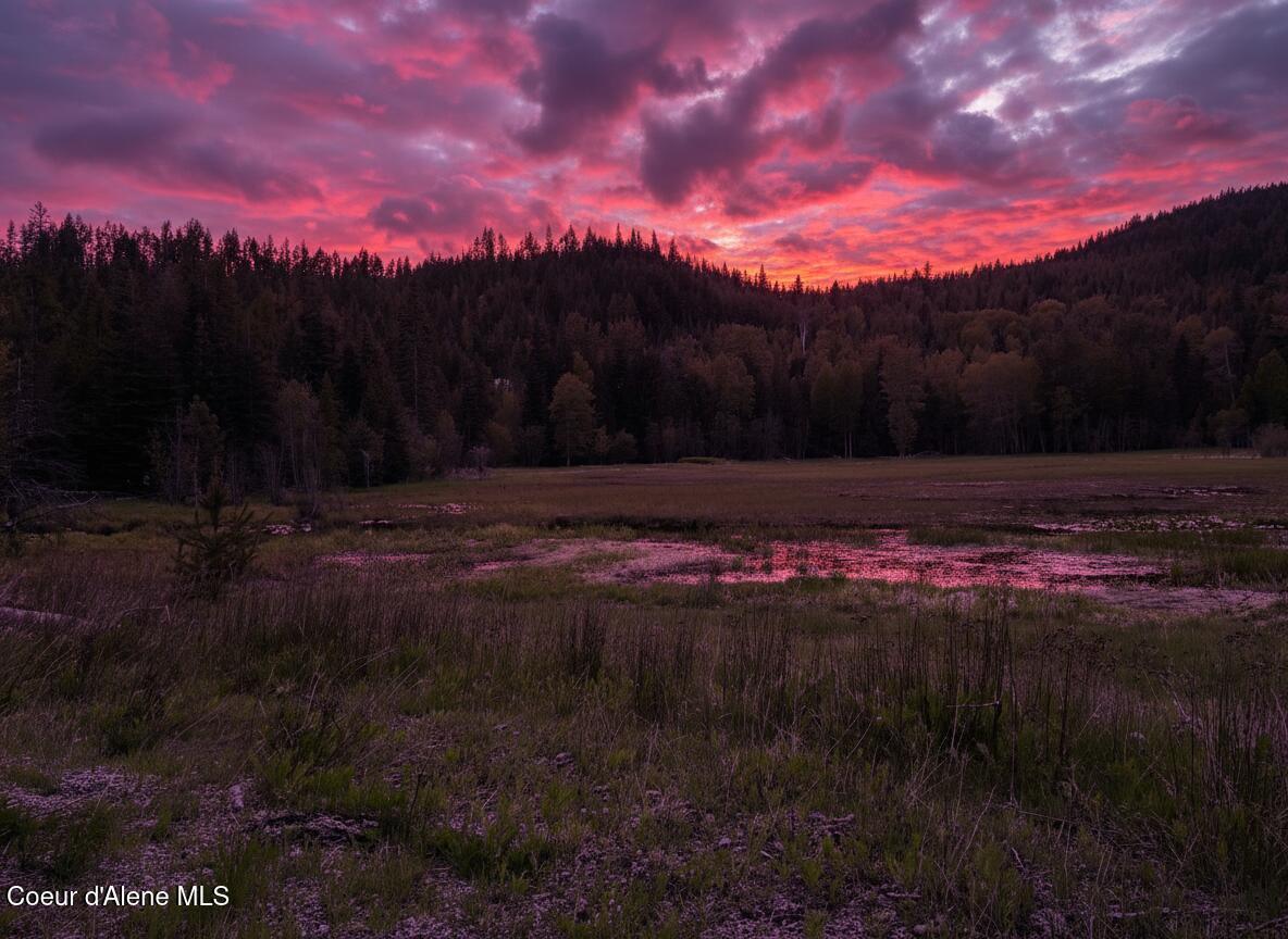 Image 3: sunset high meadow m2