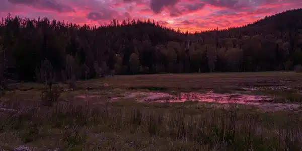 Image 3: sunset high meadow m2