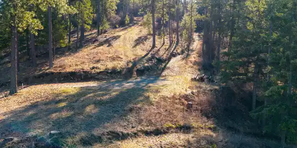 Image 2: Dirt Road