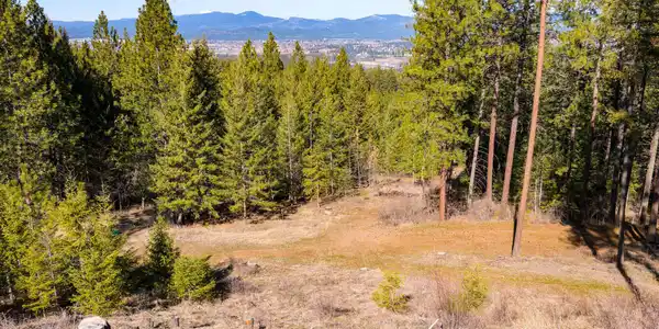 Image 3: Property View