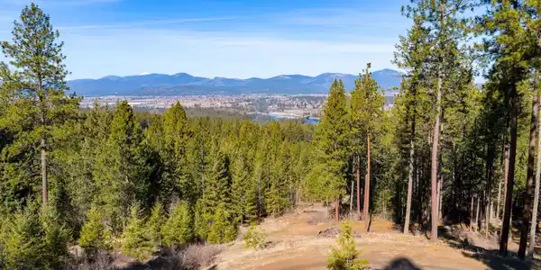Image 4: Views from property