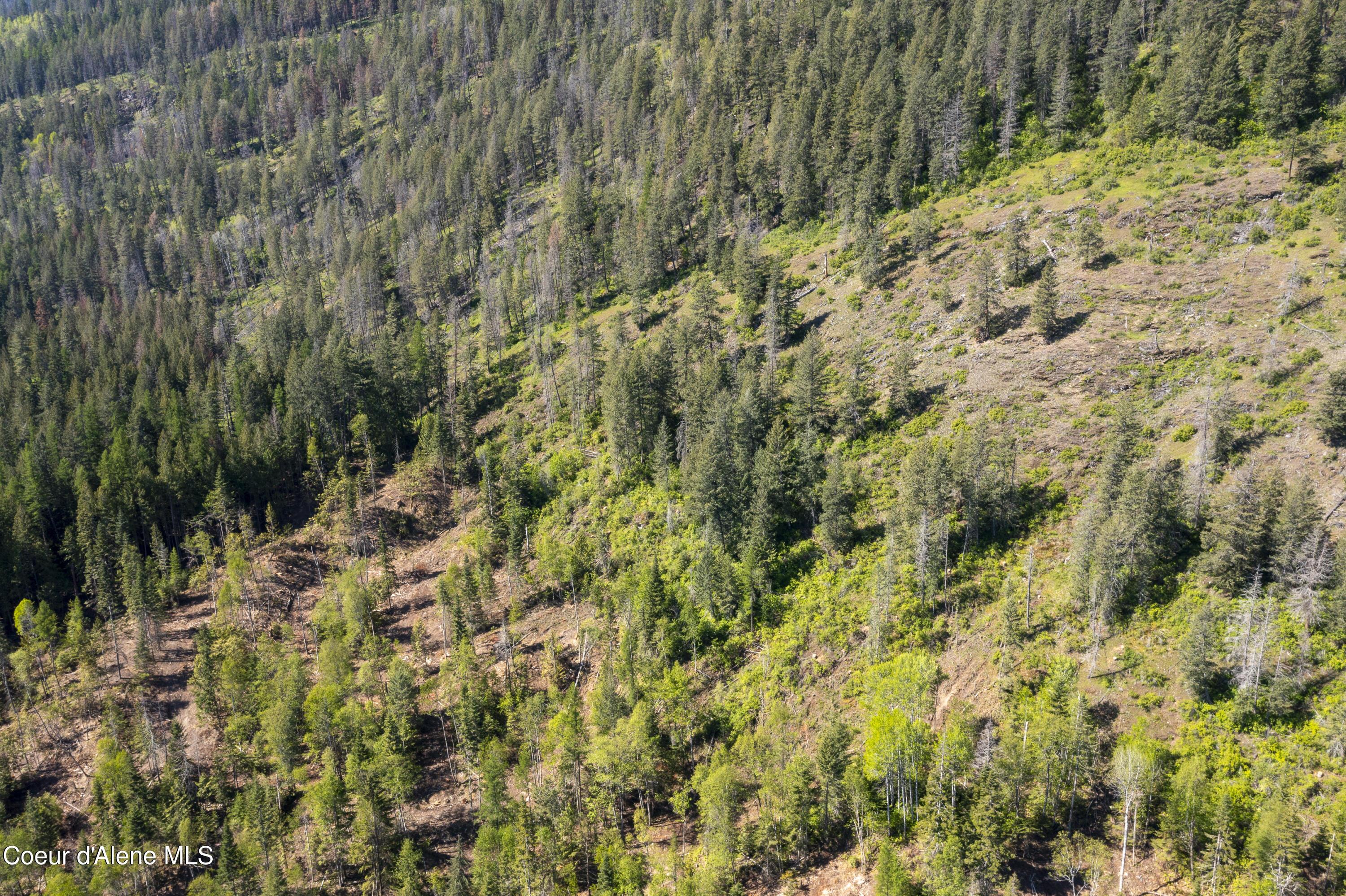 Image 2: Lot 6 (3 of 6)