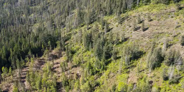 Image 2: Lot 6 (3 of 6)
