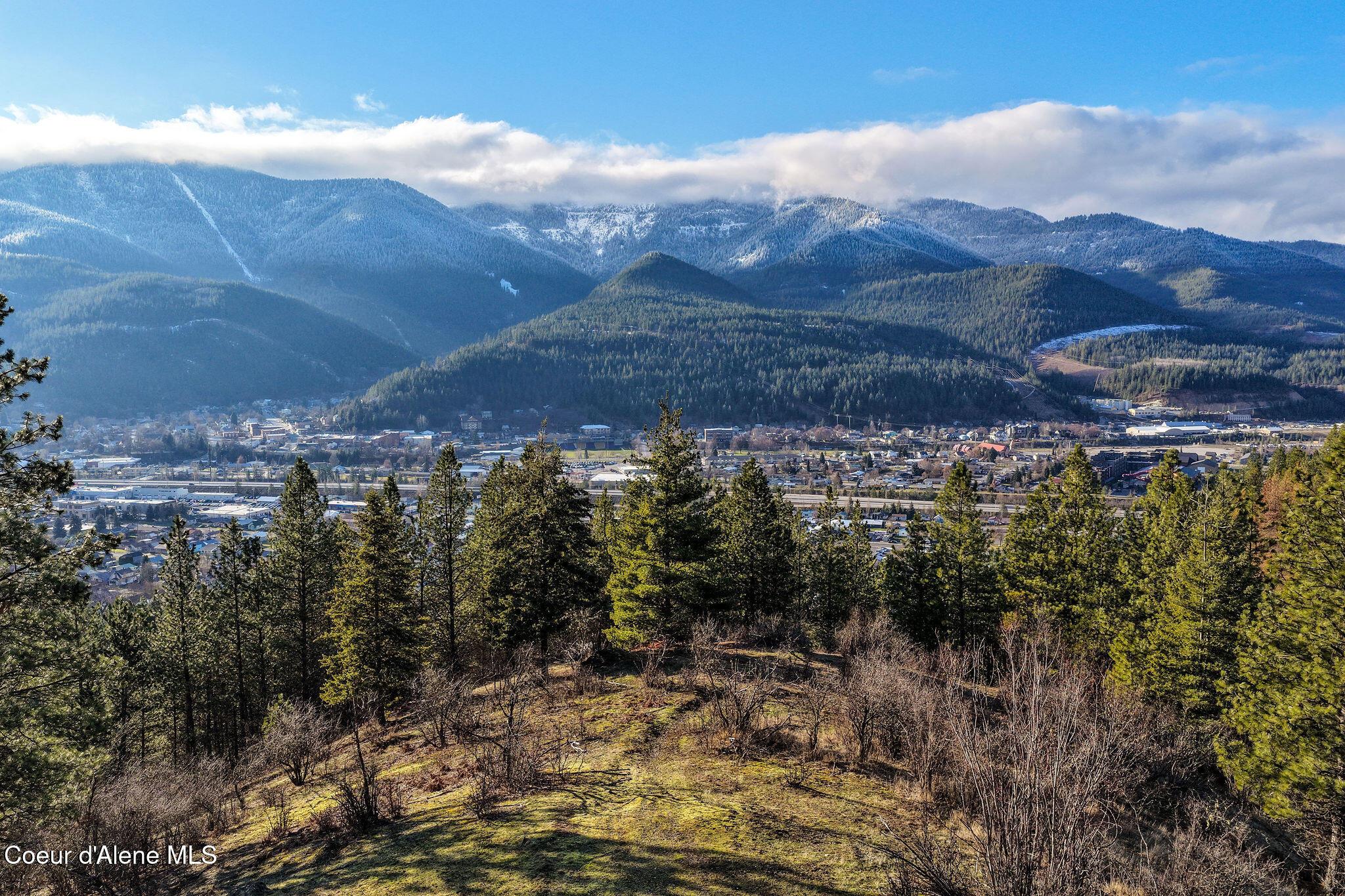 Image 2: DJI_20260120095241_0086_D