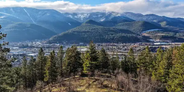 Image 2: DJI_20260120095241_0086_D