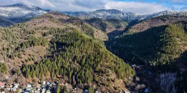 Image 3: DJI_20260120094643_0053_D