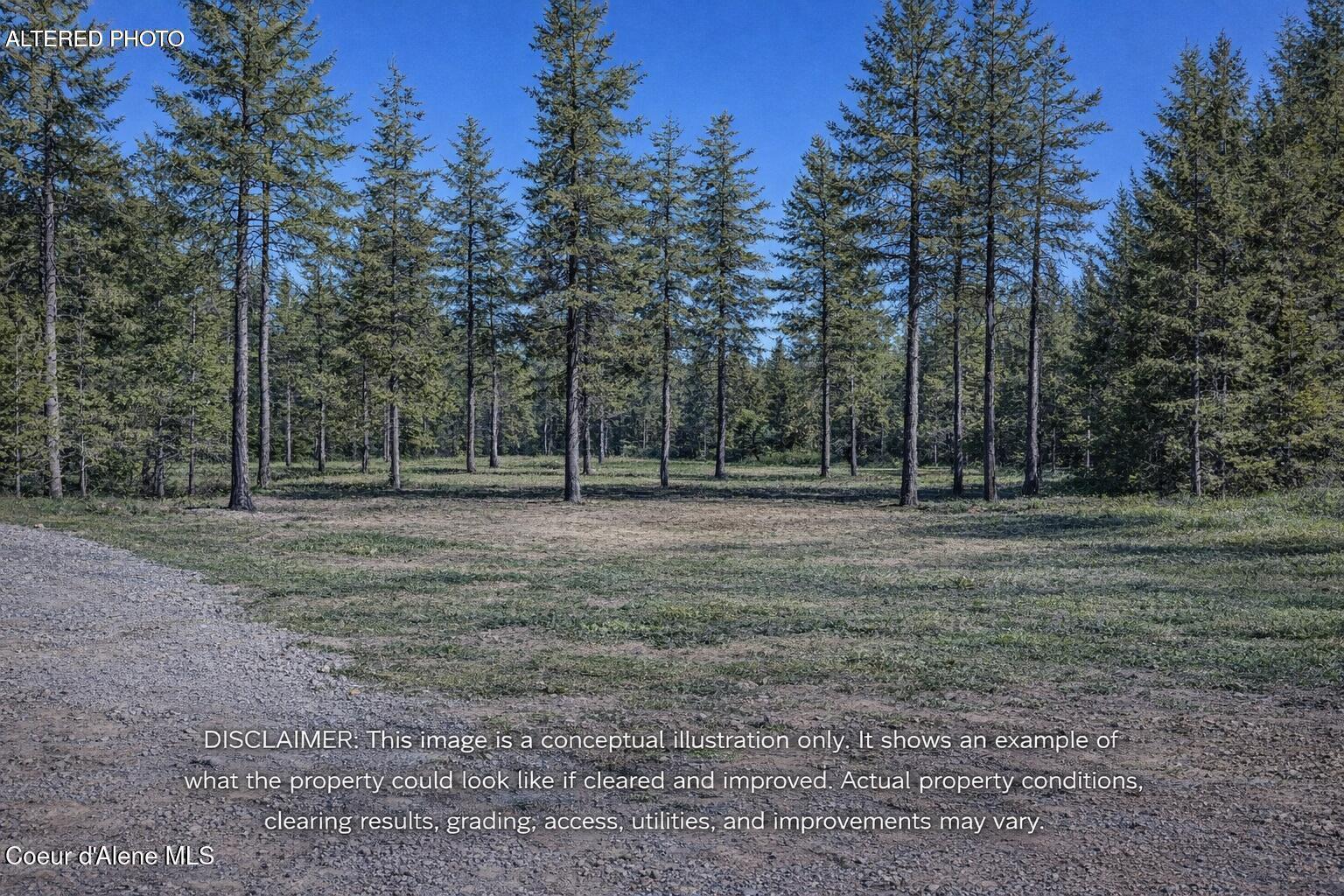 Image 4: Lot 3 Thinning Disclaimer