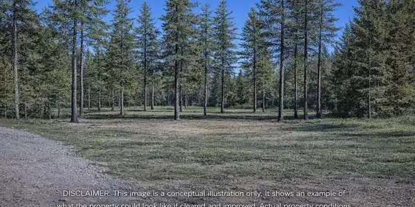 Image 4: Lot 3 Thinning Disclaimer