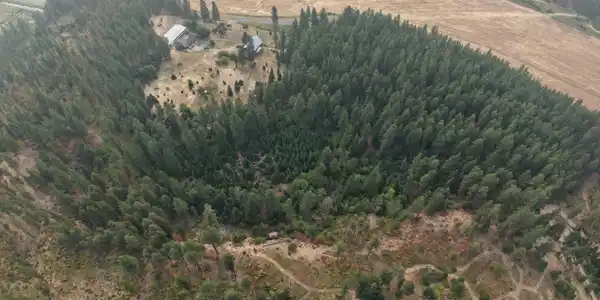 Image 4: Great area