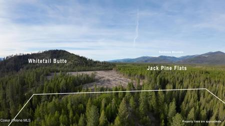 NNA Mud Gulch